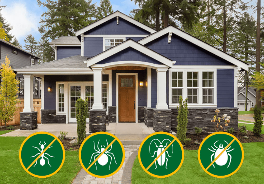 Perimeter Pest Control Services